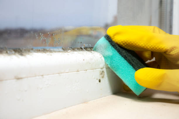 Best Residential Mold Removal  in Point Of Rocks, MD